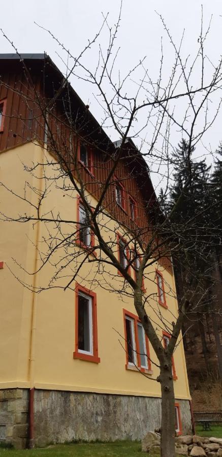 Апартаменты Haus Stefanie Elvire Альтенберг Экстерьер фото