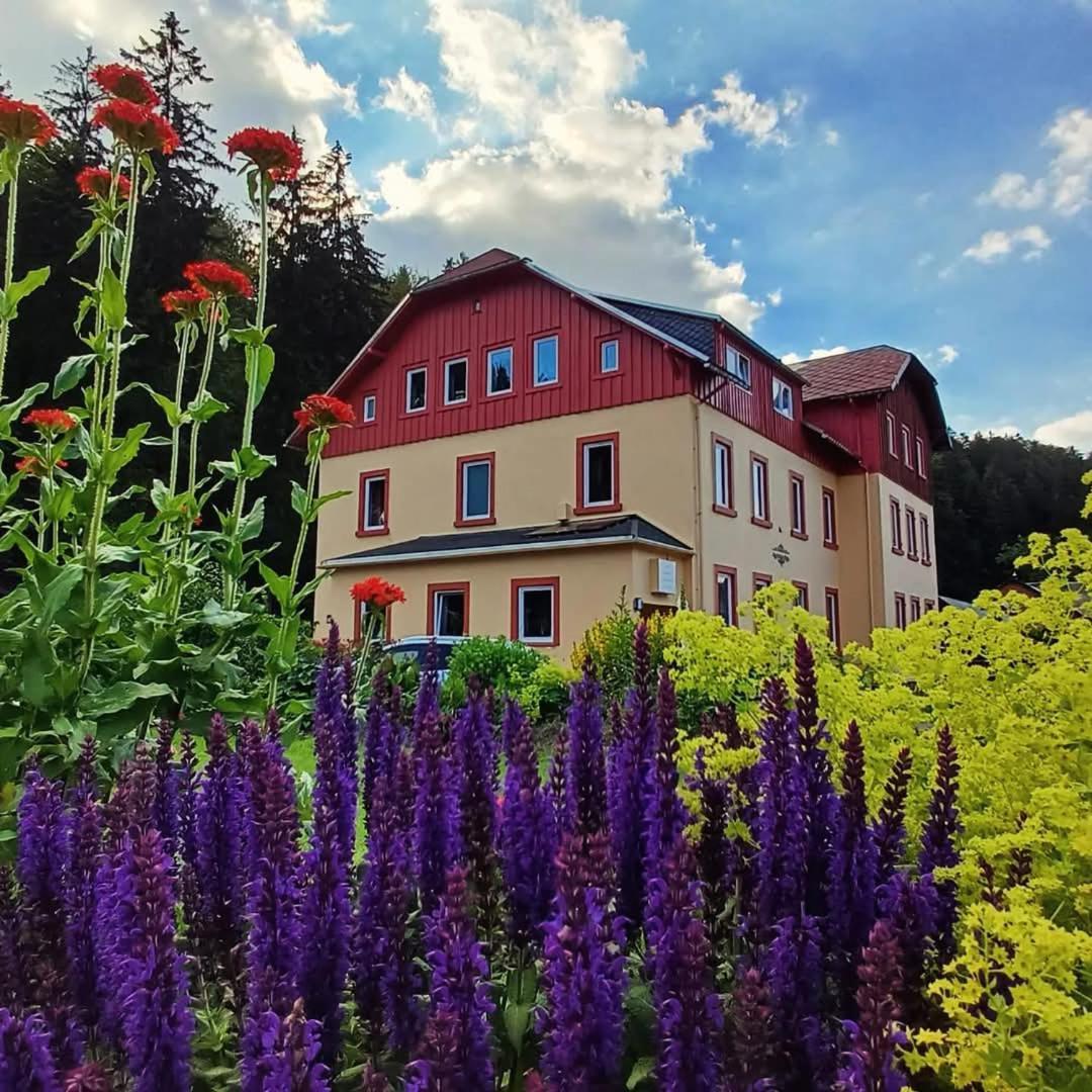 Апартаменты Haus Stefanie Elvire Альтенберг Экстерьер фото